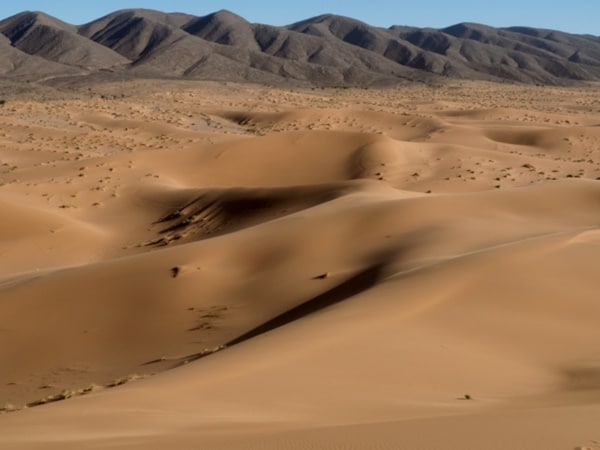 Sahara desert Trekking