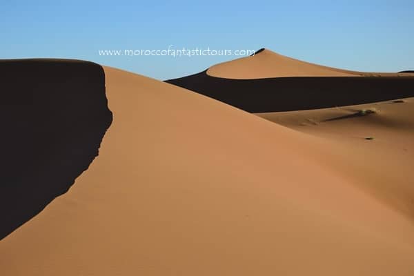 Sahara Trek, Dra valley 8 Days randonnée Maroc désert