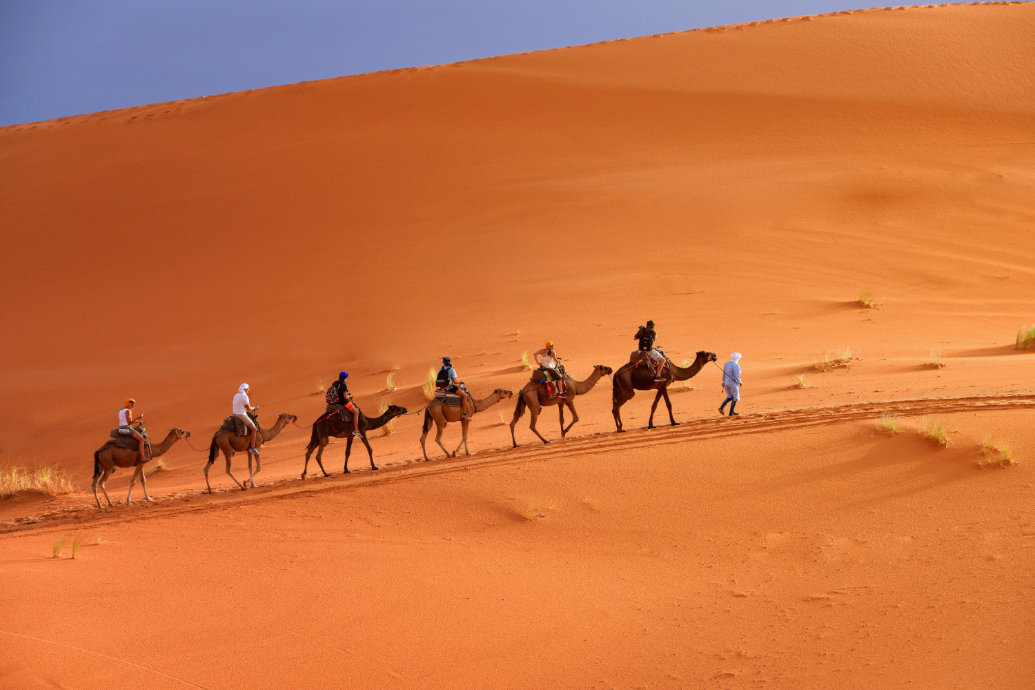 morocco fantastic tours