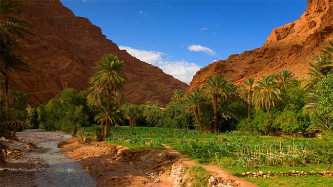 rose valley