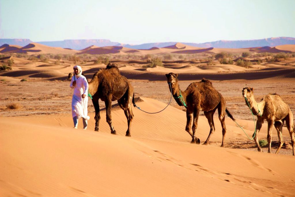 Practical tips for your first trip to Morocco