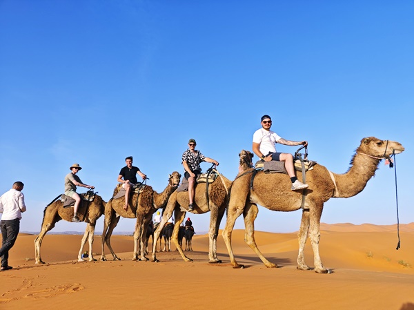 Paseo en camello en Marruecos