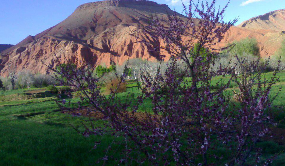 Rose valley Trek