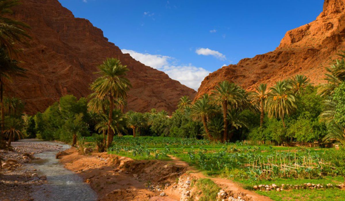 Rose Valley Trek​